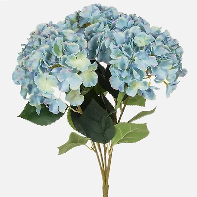 Bouquet 5-tiges d'Hortensias - Bleu
