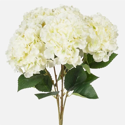 Bouquets d’hortensias, 5-tiges - White