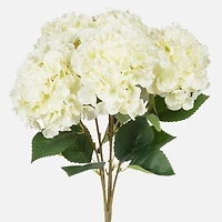 Bouquets d’hortensias, 5-tiges - White