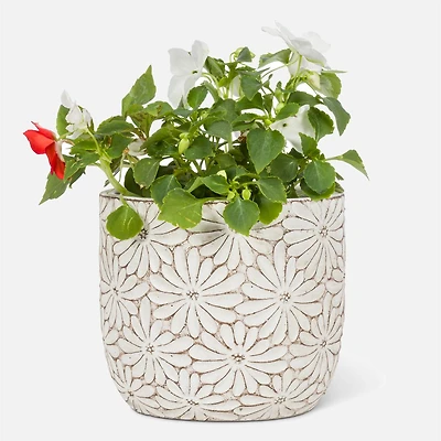 Cache-pot rond blanc marguerite - 4,5 po