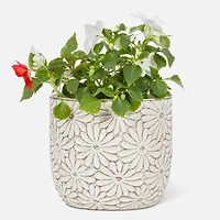 White Daisy Round Planter - 4.5
