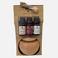 GIRO fragrance set: 3 scented oils with USB diffuser