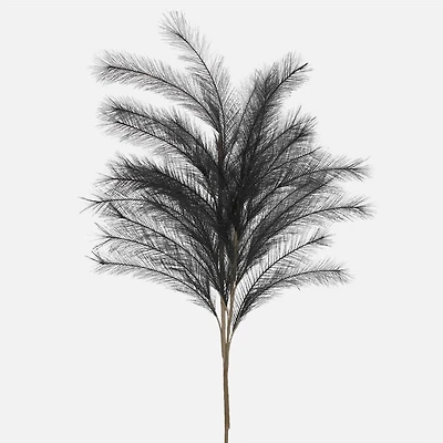 Black Feather Branch 45