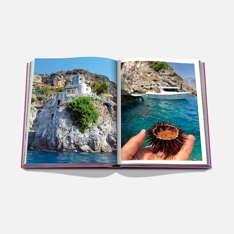 Beau livre de photographies décoratif par Assouline