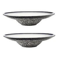 Set of 2 Granite Show Plates by Maxwell & Williams (28 cm)
