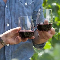 Ensemble de 4 verres à vin incassables « Govino » 16 onces par Cuisivin
