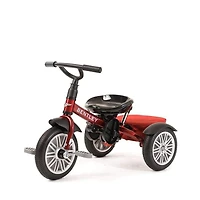 Bentley 6-in-1 Baby Stroller/Trike