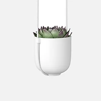 Bolo Planter White