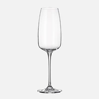 Crystal Bohemia Anas Verres à vin mousseux, ensemble de 6
