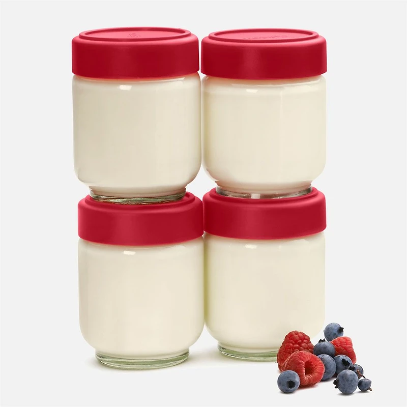 Set of 4 Cuisipro Leakproof Glass Jars
