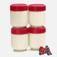 Set of 4 Cuisipro Leakproof Glass Jars