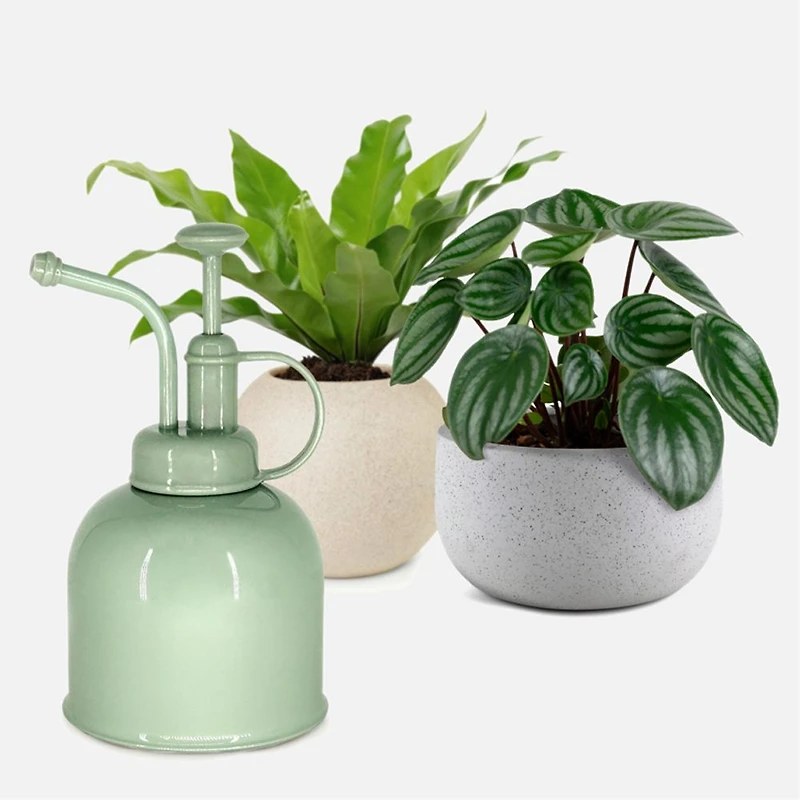 Natural Living Plant mister