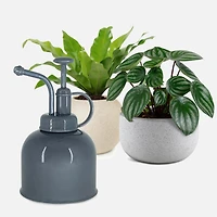 Brumisateur pour plantes par Natural Living