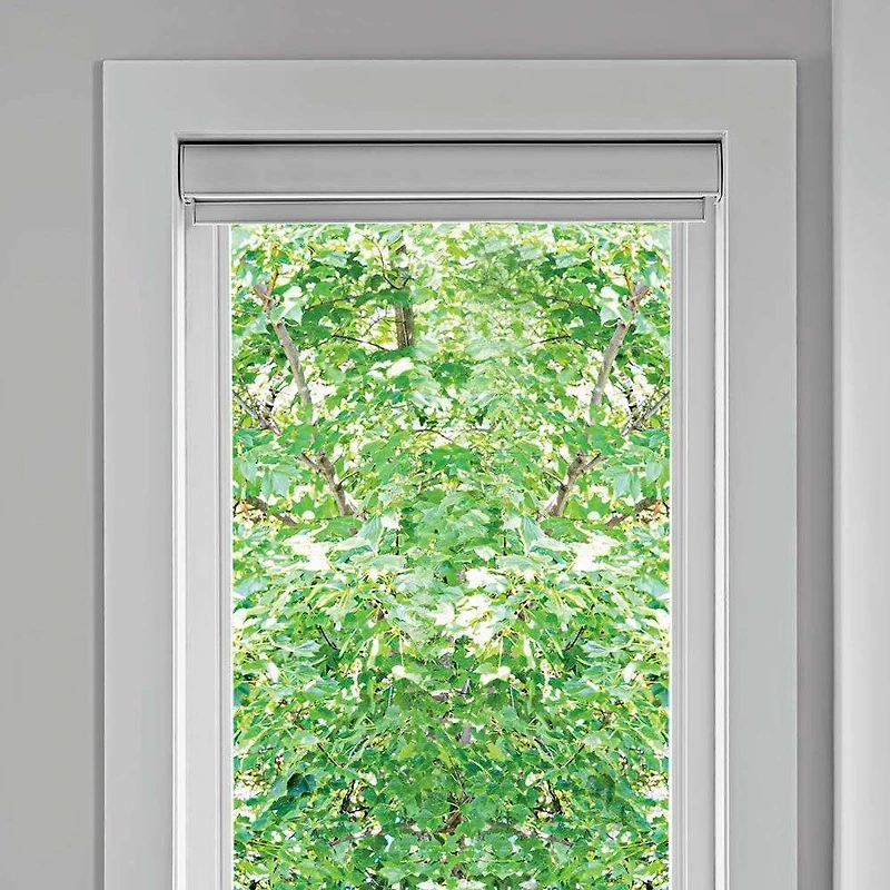 Transition Day & Night Luxury Roller Shades / Zebra Blinds