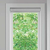 Transition Day & Night Luxury Roller Shades / Zebra Blinds