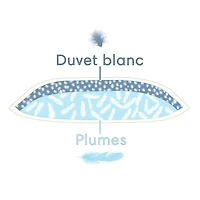 Oreiller en plumes et duvet Double Comfort