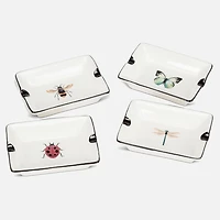 Insect Petit plat rectangulaire