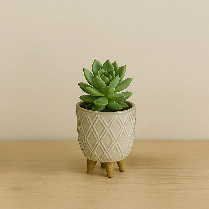 Kozie Lifestyle Planter Assorted