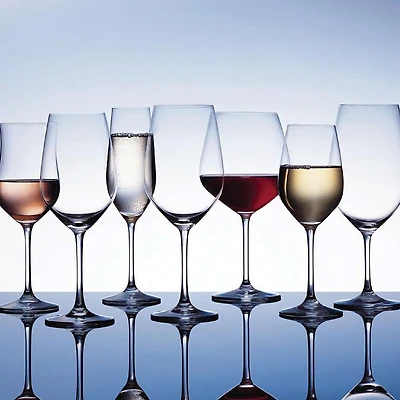Schott Zwiesel Forte Red Wine Glass