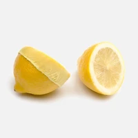 Lemon Bags, Set of 18
