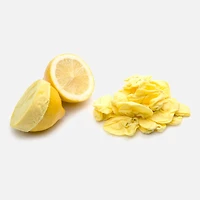 Lemon Bags, Set of 18