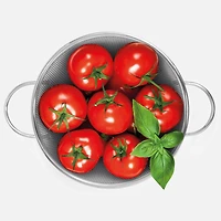 Stainless Steel Colander by Gourmet - 25.5 cm