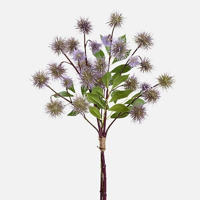 Gino Signature Globe Thistle, 18" - Light Green 