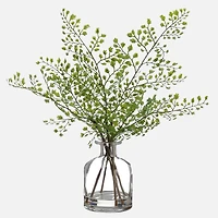 Maidenhair Fern in Glass Vase - 13"