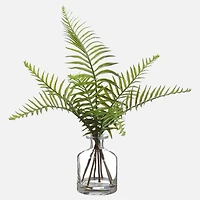 Sword Fern in Glass Vase, 14"