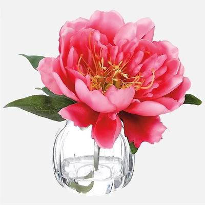 Peony in Glass Vase - Cherry
