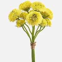 Bouquet Pompon Dahlia