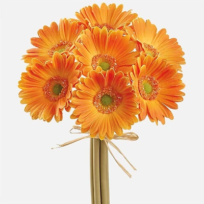 Gerbera Daisy Bundle, 13" - Orange
