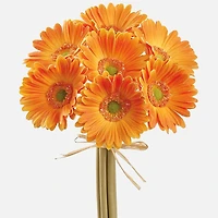 Gerbera Daisy Bundle, 13" - Orange