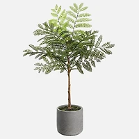 Jacaranda Fern - Green. 24"