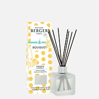 Ice Cube Scented Bouquet by Maison Berger Paris