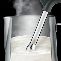 Machine à espresso manuelle Breville the Bambino™ Plus - Truffe noire