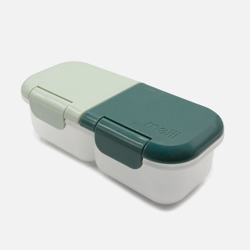 Snack Container, 2 Compartment - Sage and Cactus Fern