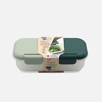 Snack Container, 2 Compartment - Sage and Cactus Fern