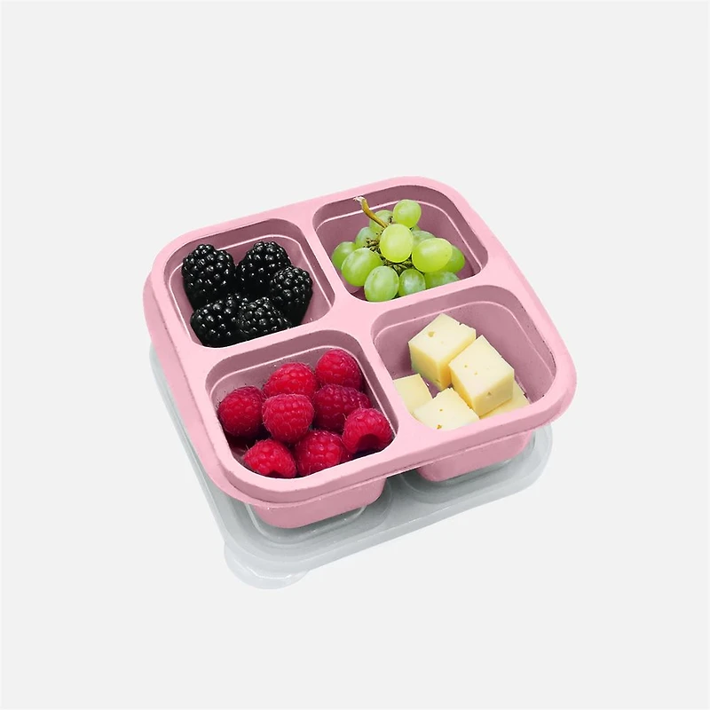 4-Compartment Meal Prep Containers, Pack of 4 - Assorted colours