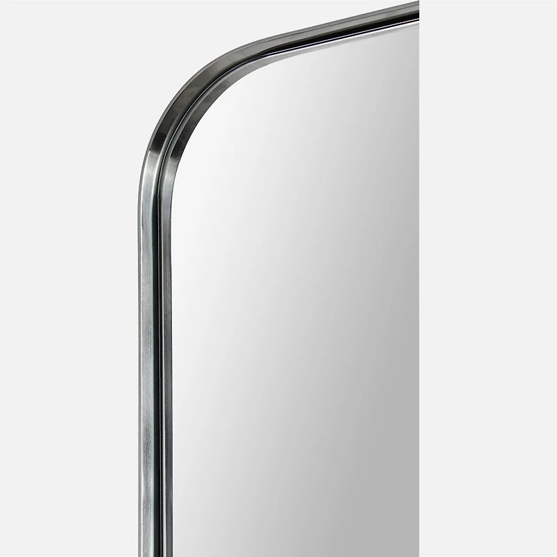 Delphinus Mirror