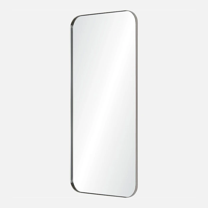 Delphinus Mirror