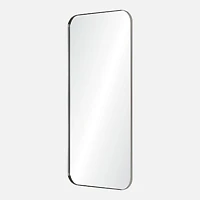Delphinus Mirror