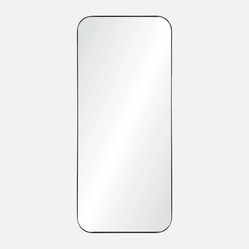 Delphinus Mirror