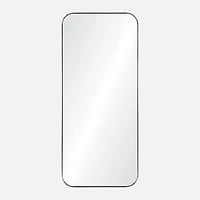 Delphinus Mirror