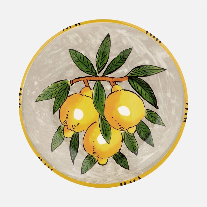 Limone Dinner Plate by Maxwell & Williams - Grey