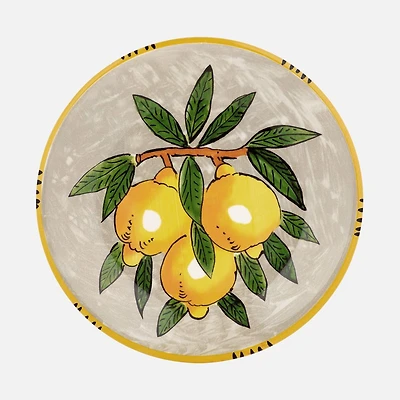 Limone Dinner Plate by Maxwell & Williams - Grey