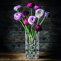 Nachtmann Noblesse Vase/Hurricane Lamp