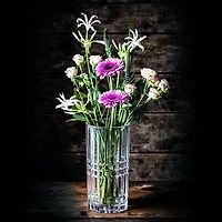 Nachtmann Square Vase/Hurricane Lamp