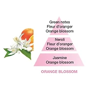 Berger Lamp Orange Blossom Fragrance Refill by Maison Berger Paris – 500 ml