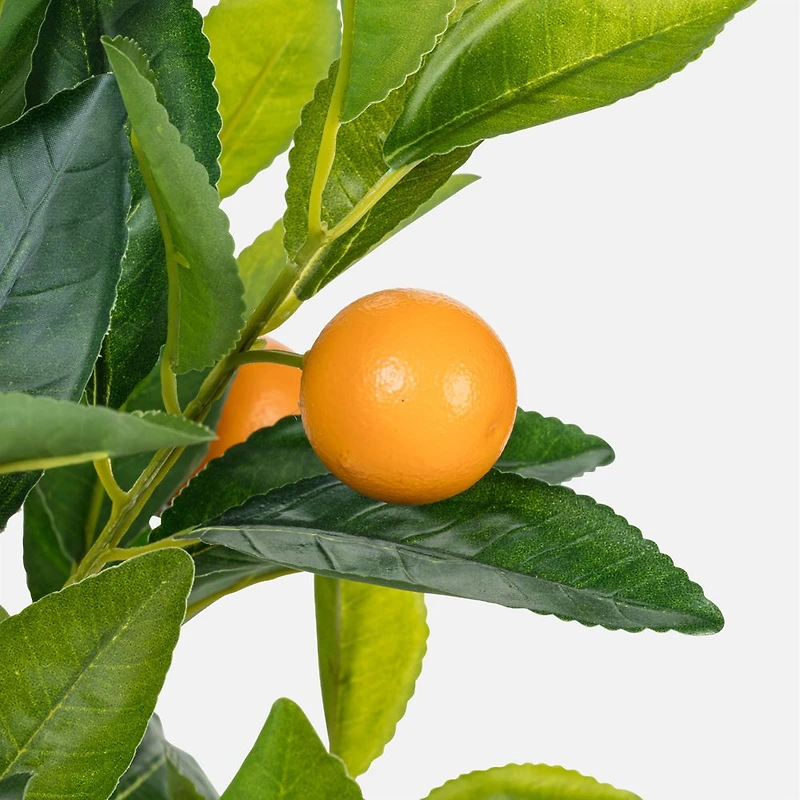 Large Orange Tree